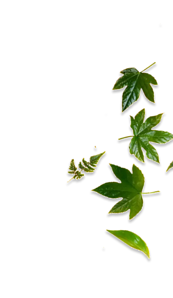 green-plant-on-the-yellow-background-retro-vintag-2023-11-27-04-57-02-utc-removebg-preview